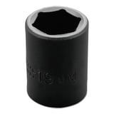 577-7419M.jpg