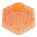 863-2WDS10MG.jpg