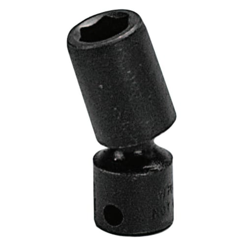 875-3858.jpg
