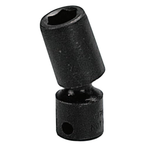 875-3856.jpg